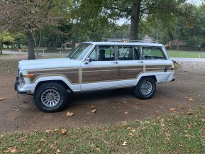 1991 Jeep Grand Wagoneer for sale 101629329